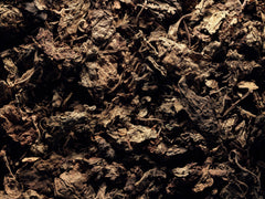 Jasmin Patchouli Eau De Parfum, 100ml