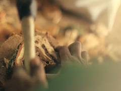 Iris Pallida Eau De Parfum, 100ml