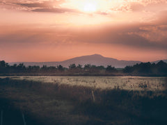 Tonka Lavende Eau De Parfum, 100ml