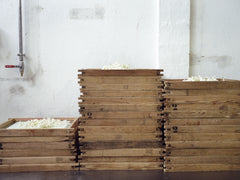 Jasmin Patchouli Eau De Parfum, 100ml