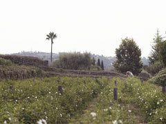 Vetiver Santal Eau De Parfum, 100ml