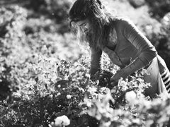 Brume D'Oreiller Aromatherapy, 100ml