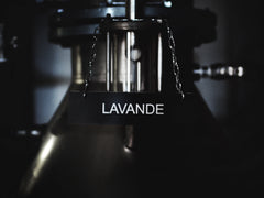 Tonka Lavende Eau De Parfum, 100ml