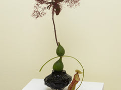 Canyon Vase Mini - Smoke