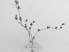 Canyon Vase Large - Clear