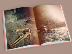 La Isla by Kate Bellm