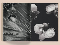 La Selva by Kate Bellm