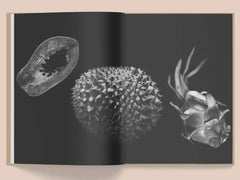 La Selva by Kate Bellm