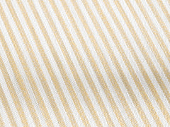 Locus Solus Armchairs by Gae Aulenti in Sunfish Stripe