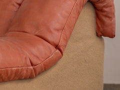 DS-600 Modular Non Stop Sectional Sofa by Ueli Berger