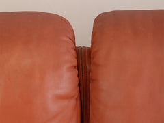 DS-600 Modular Non Stop Sectional Sofa by Ueli Berger