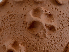 Objects of Virtue - Sconce, Terracotta Floral