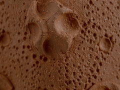 Objects of Virtue - Sconce, Terracotta Floral