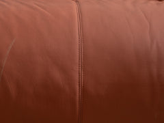 1970s Anfibio Sofabed by Alessandro Beechi for Giovanetti