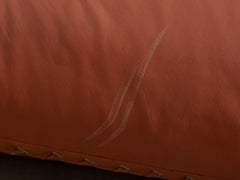 1970s Anfibio Sofabed by Alessandro Beechi for Giovanetti