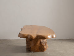 Elm Coffee Table