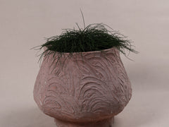 1950s French Planter in Rose