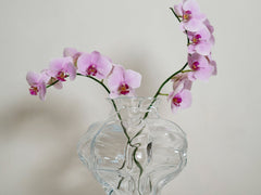 Ammonit Vase, Large - Clear