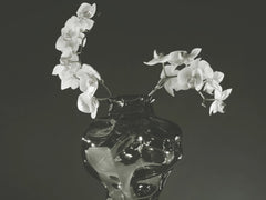 Ammonit Vase, Large - Smoke