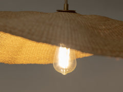 Fawn Pendant Light - Medium