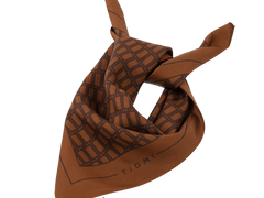 Tigmi Silk Scarf