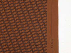 Tigmi Silk Scarf