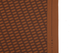 Tigmi Silk Scarf