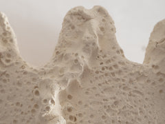Objects of Virtue - Sconce, Ivory 223