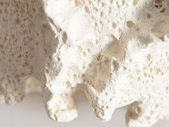 Objects of Virtue - Sconce, Ivory 223