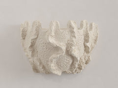 Objects of Virtue - Sconce, Ivory 223