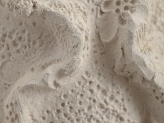 Objects of Virtue - Sconce, Ivory 223