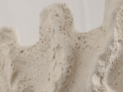 Objects of Virtue - Sconce, Ivory 223