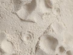 Objects of Virtue - Sconce, Ivory 226