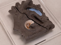 1960s Ceramic Sculpture