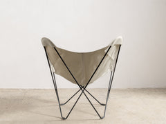 Sunshine Mariposa Oyster, Black Frame