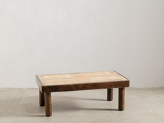 1960s Herbarium Coffee Table by Roger Capron
