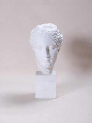 1950s European Plaster Bust 01
