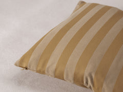Square Cushion - Chameleon Stripe