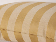 Square Cushion - Chameleon Stripe