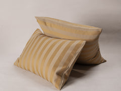 Square Cushion - Chameleon Stripe