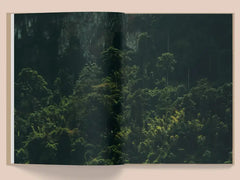 La Selva by Kate Bellm