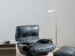 Brass Floor Lamp