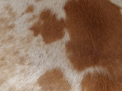 Chrome Cantilever Armchair in Cowhide