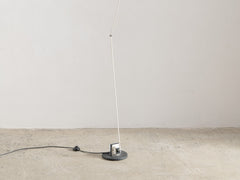1970s Daphine Floor Lamp by Tommaso Cimini