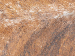 1980s French Cowhide Lounge Chair