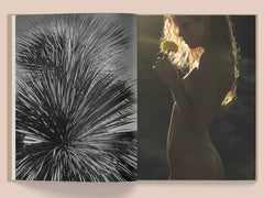 La Selva by Kate Bellm