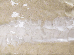 Guardian Vessel