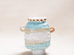 Guardian Vessel