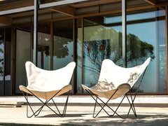 Sunshine Mariposa Oyster, Black Frame