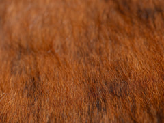 1980s French Cowhide Lounge Chair